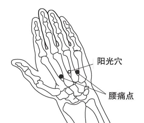 陽光穴|“阳光穴”，一个治疗腰痛的好穴位 – 中医锦囊